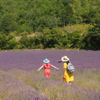 Holiday & Seasonal Tours