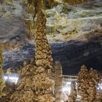 Eco Tours