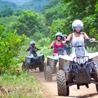 Half-day Tours