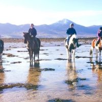 Horseback Riding