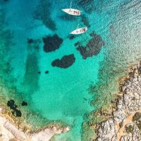 Fishing Charters & Tours