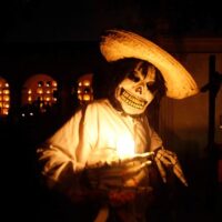 Holiday & Seasonal Tours