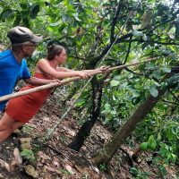 Sustainable Tours