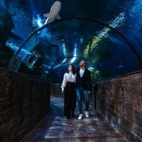Sustainable Tours