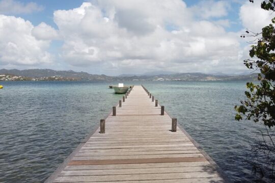 Halloween in Martinique