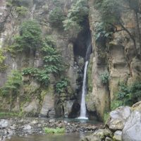 Eco Tours