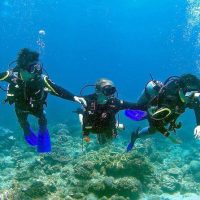 Scuba Diving