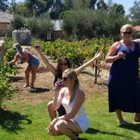 Half-day Tours