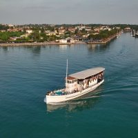 Boat Tours