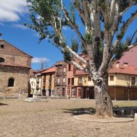 Cultural Tours
