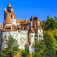 Cultural Tours