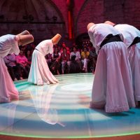Trolley Tours