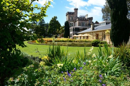 Hanukkah in Dunedin & The Otago Peninsula