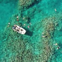Boat Tours