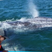 Holiday & Seasonal Tours