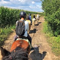 Horseback Riding