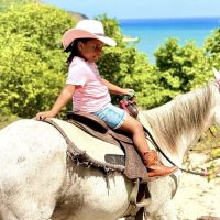 Cultural & Theme Tours