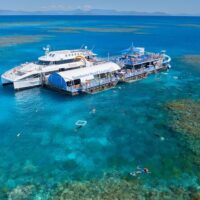 Glass Bottom Boat Tours