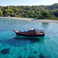Cruises, Sailing & Water Tours