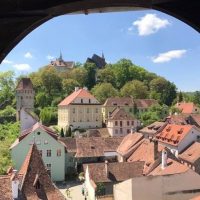 Private & Custom Tours