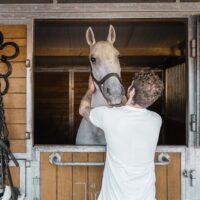 Horseback Riding