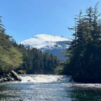 Boat Tours