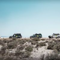 Safaris