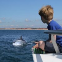 Boat Tours