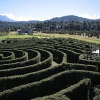 Sightseeing Tickets & Passes