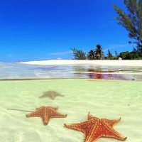 Cruises, Sailing & Water Tours