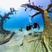 Scuba Diving