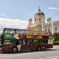 Bus & Minivan Tours