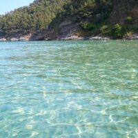 Cruises, Sailing & Water Tours