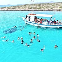Boat Tours
