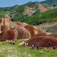 Wine Tasting & Winery Tours