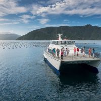 Boat Tours