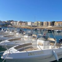 Private & Custom Tours