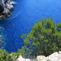 Eco Tours