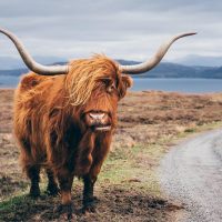 Multi-day Tours