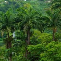 Ports of Call Tours