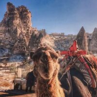 Full-day Tours