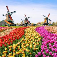 Day Trips & Excursions