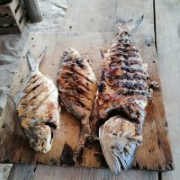 Day Trips & Excursions