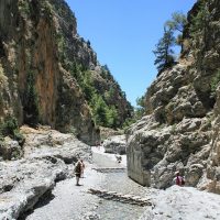 Eco Tours