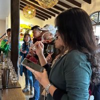 Tours & Sightseeing