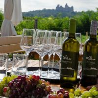Wine Tasting & Winery Tours