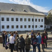 Cultural Tours
