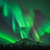 Holiday & Seasonal Tours