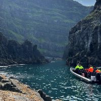 Cruises, Sailing & Water Tours
