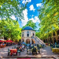 Bus & Minivan Tours